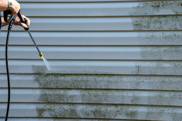 Shed Removal in Warren, IN