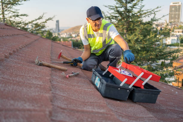 Best Demolition Debris Removal  in Warren, IN